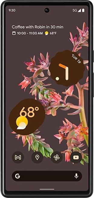 Google Pixel 6 (5G)