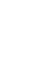 Dent Accepted